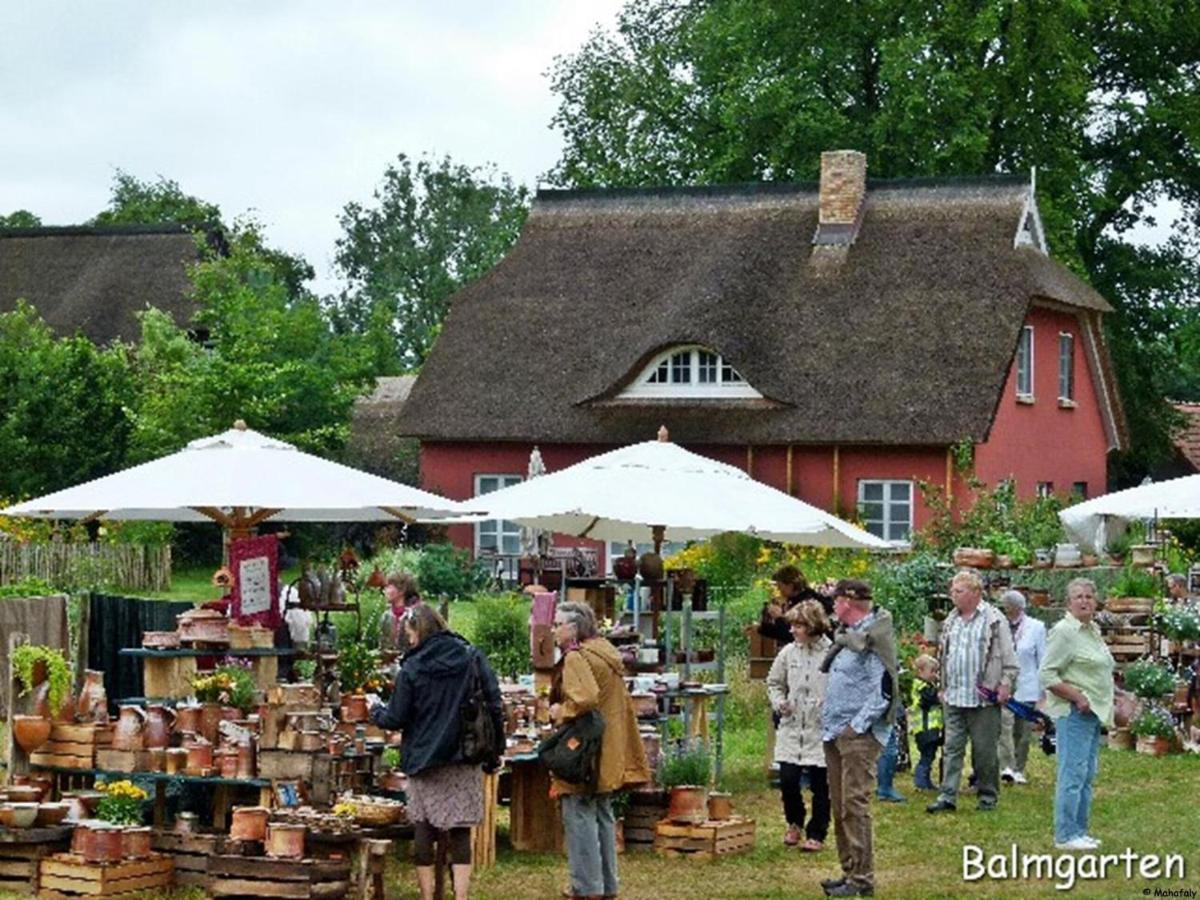 "Balmgarten" Im Naturpark Usedom, Bio Solarhaus Mit Grossem Garten Exterior foto