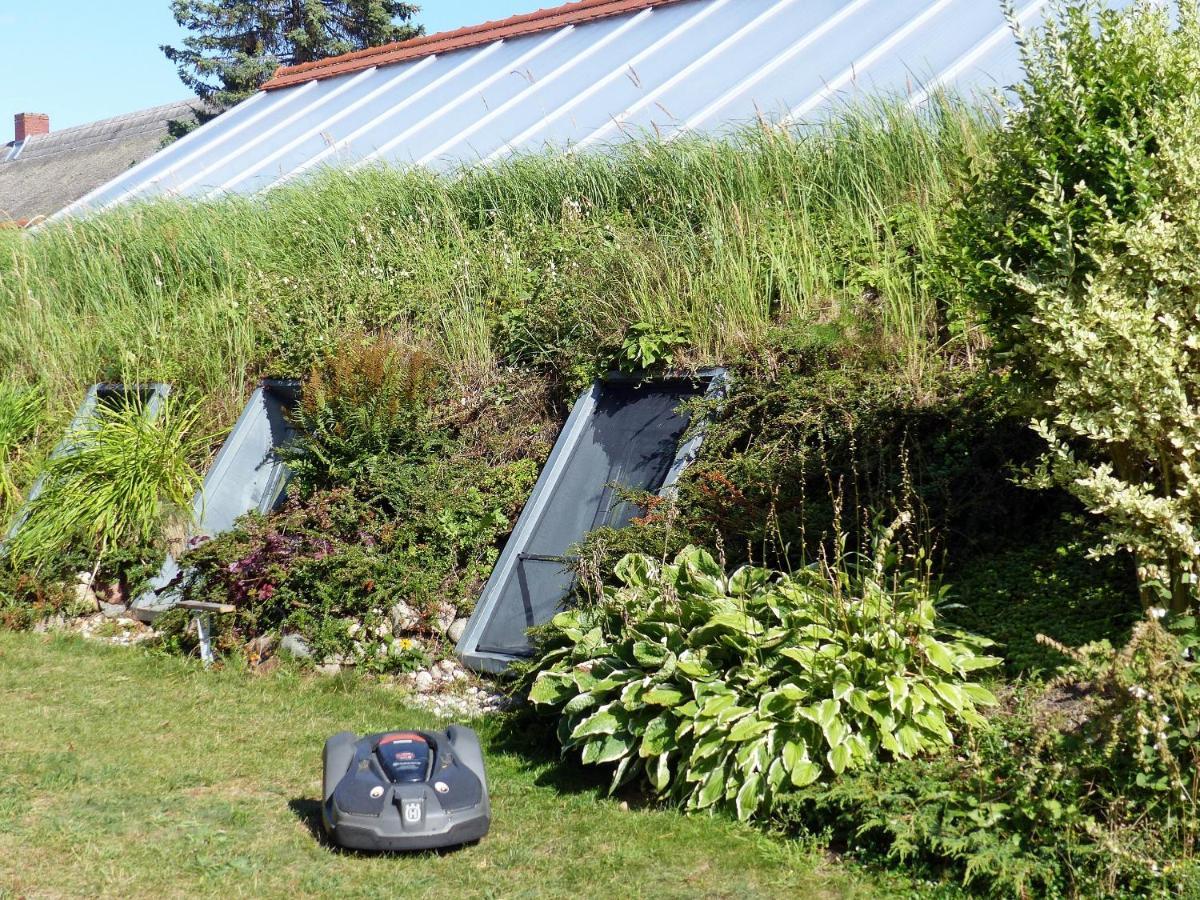 "Balmgarten" Im Naturpark Usedom, Bio Solarhaus Mit Grossem Garten Exterior foto